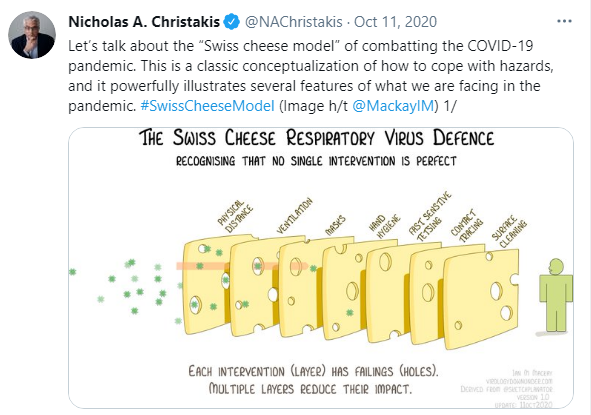 swiss cheese