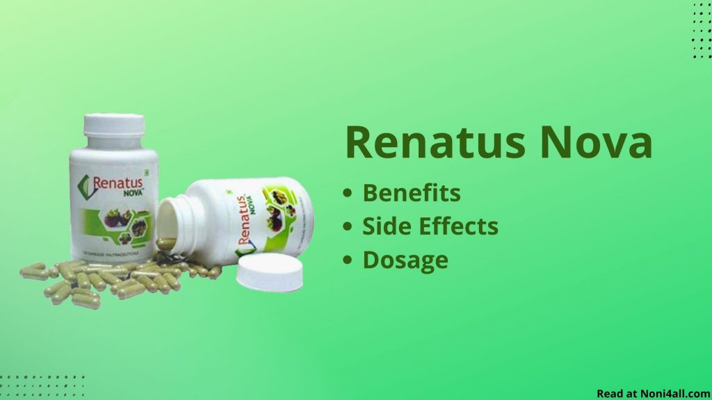 Renatus Nova Review